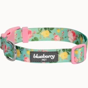 Blueberry Pet Rose Flower Print Padded Dog Collar