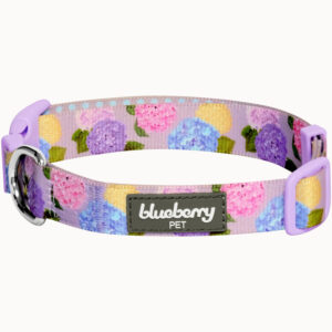 Blueberry Pet Rose Flower Print Padded Dog Collar
