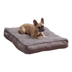 Happy Hounds Daisy Deluxe Supportive Pet Bed